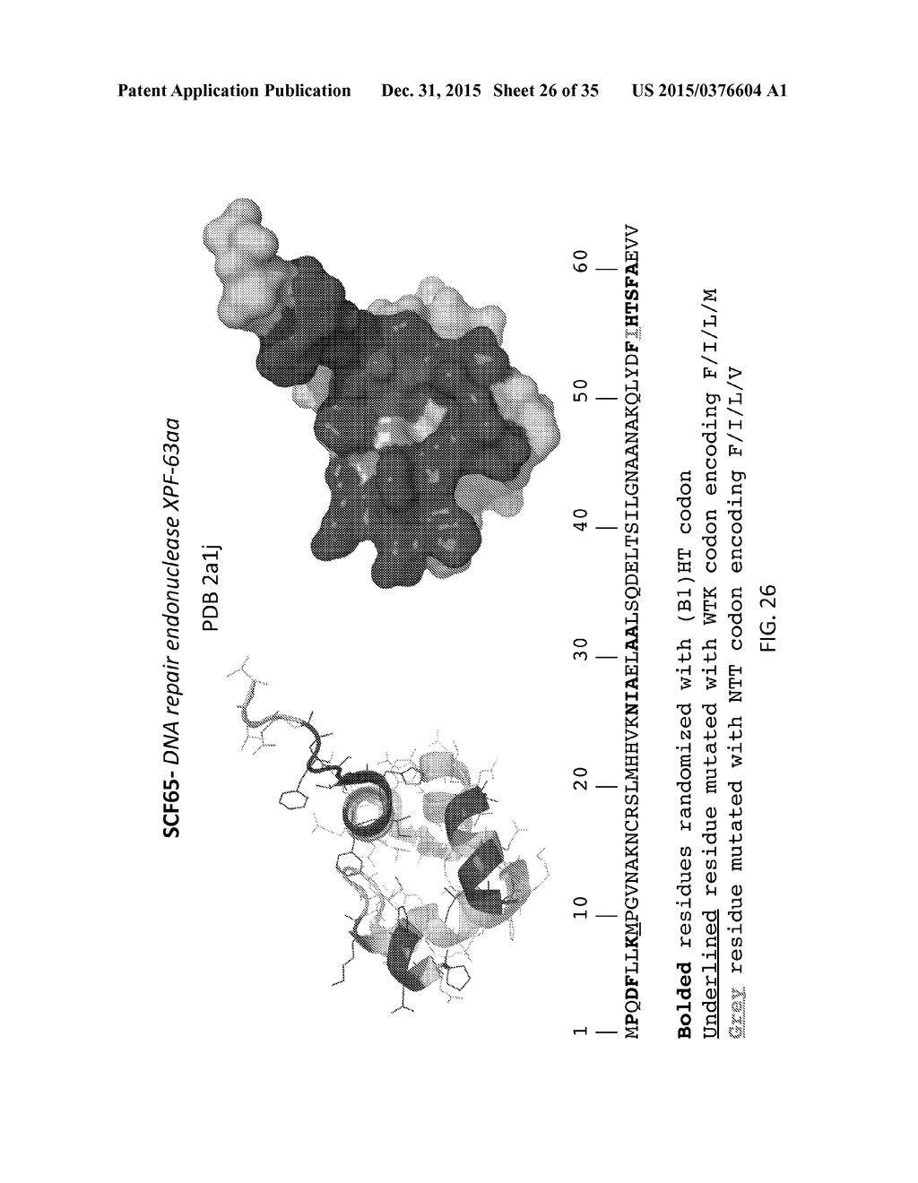 Scaffolded Peptidic Libraries and Methods of Making and Screening the Same - diagram, schematic, and image 27