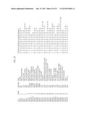 Scaffolded Peptidic Libraries and Methods of Making and Screening the Same diagram and image