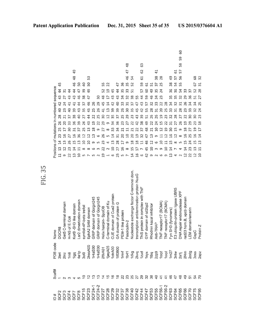 Scaffolded Peptidic Libraries and Methods of Making and Screening the Same - diagram, schematic, and image 36