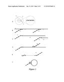 Methods and Compositions for Sample Analysis diagram and image