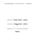 ANTISENSE OLIGONUCLEOTIDES FOR INDUCING EXON SKIPPING AND METHODS OF USE     THEREOF diagram and image