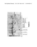 ANTISENSE OLIGONUCLEOTIDES FOR INDUCING EXON SKIPPING AND METHODS OF USE     THEREOF diagram and image