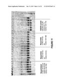 ANTISENSE OLIGONUCLEOTIDES FOR INDUCING EXON SKIPPING AND METHODS OF USE     THEREOF diagram and image