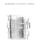 ANTISENSE OLIGONUCLEOTIDES FOR INDUCING EXON SKIPPING AND METHODS OF USE     THEREOF diagram and image