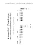 MULTIPLE EXON SKIPPING COMPOSITIONS FOR DMD diagram and image