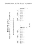 MULTIPLE EXON SKIPPING COMPOSITIONS FOR DMD diagram and image