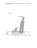 ANTISENSE OLIGONUCLEOTIDES DIRECTED AGAINST CONNECTIVE TISSUE GROWTH     FACTOR AND USES THEREOF diagram and image