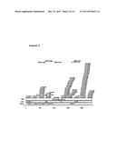 ANTISENSE OLIGONUCLEOTIDES DIRECTED AGAINST CONNECTIVE TISSUE GROWTH     FACTOR AND USES THEREOF diagram and image