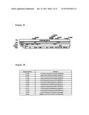 ANTISENSE OLIGONUCLEOTIDES DIRECTED AGAINST CONNECTIVE TISSUE GROWTH     FACTOR AND USES THEREOF diagram and image