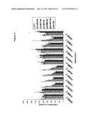 ANTISENSE OLIGONUCLEOTIDES DIRECTED AGAINST CONNECTIVE TISSUE GROWTH     FACTOR AND USES THEREOF diagram and image