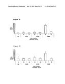 ANTISENSE OLIGONUCLEOTIDES DIRECTED AGAINST CONNECTIVE TISSUE GROWTH     FACTOR AND USES THEREOF diagram and image