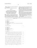 ANTISENSE OLIGONUCLEOTIDES DIRECTED AGAINST CONNECTIVE TISSUE GROWTH     FACTOR AND USES THEREOF diagram and image