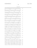 ANTISENSE OLIGONUCLEOTIDES DIRECTED AGAINST CONNECTIVE TISSUE GROWTH     FACTOR AND USES THEREOF diagram and image