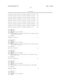 ANTISENSE OLIGONUCLEOTIDES DIRECTED AGAINST CONNECTIVE TISSUE GROWTH     FACTOR AND USES THEREOF diagram and image