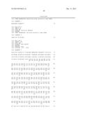 ANTISENSE OLIGONUCLEOTIDES DIRECTED AGAINST CONNECTIVE TISSUE GROWTH     FACTOR AND USES THEREOF diagram and image