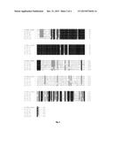 PLANTS HAVING ENHANCED YIELD-RELATED TRAITS AND METHOD FOR MAKING THE SAME diagram and image