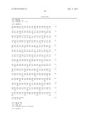 PLANTS HAVING ENHANCED YIELD-RELATED TRAITS AND METHOD FOR MAKING THE SAME diagram and image