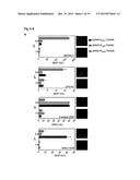 DESIGNER PH SENSOR AS UNIVERSAL TRANSGENE CONTROLLER diagram and image