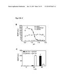 DESIGNER PH SENSOR AS UNIVERSAL TRANSGENE CONTROLLER diagram and image