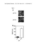 DESIGNER PH SENSOR AS UNIVERSAL TRANSGENE CONTROLLER diagram and image