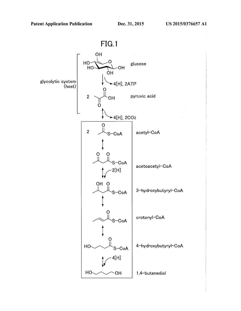 MANUFACTURING METHOD FOR 1,4-BUTANEDIOL, MICROBE, AND GENE - diagram, schematic, and image 02