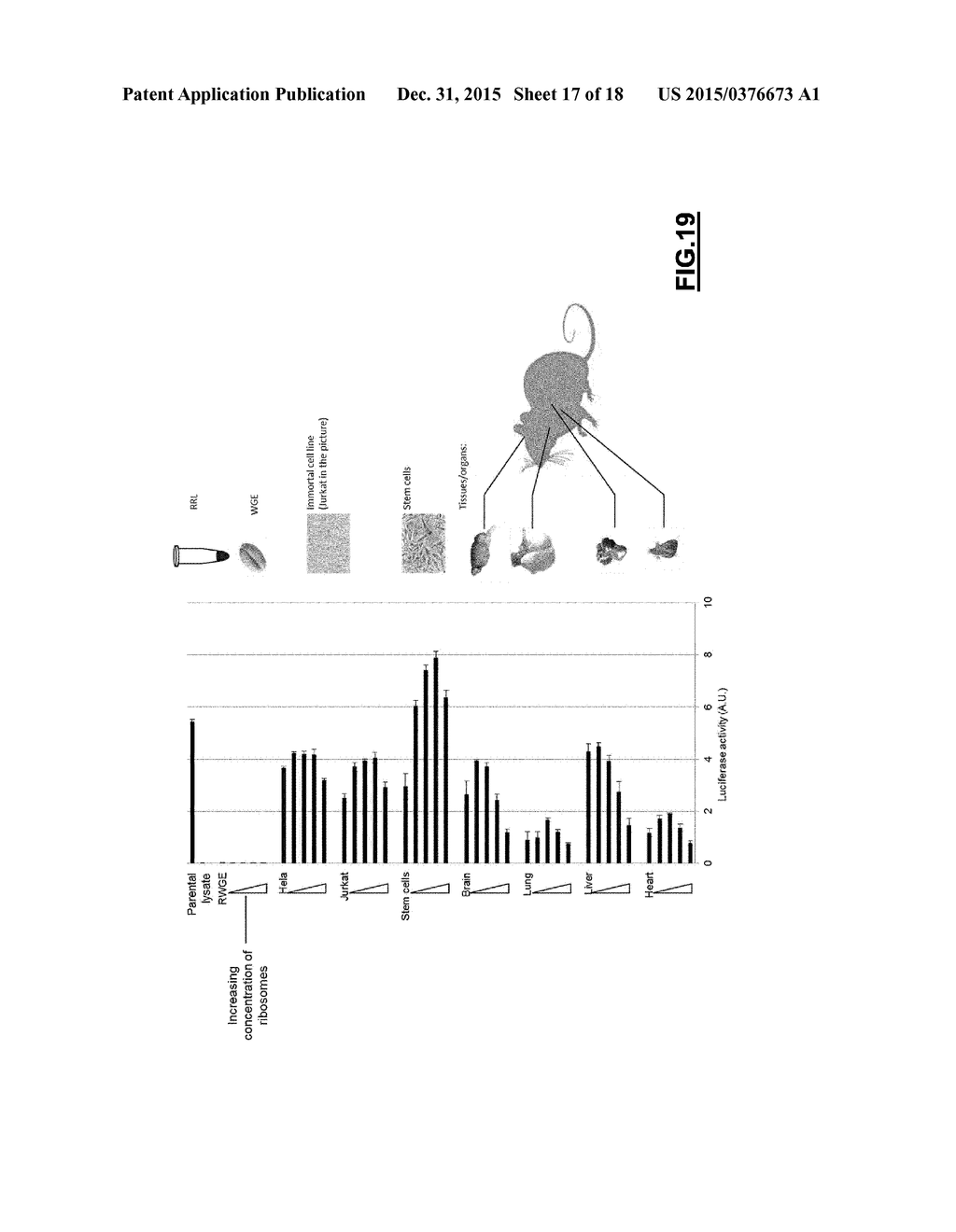 Cell-Free Translation System - diagram, schematic, and image 18