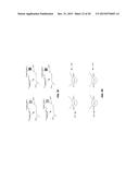 Sieving and Profiling Nucleic Acid Samples diagram and image