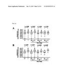 ANALYTICAL METHOD FOR INCREASING SUSCEPTIBILITY OF MOLECULAR TARGETED     THERAPY IN HEPATOCELLULAR CARCINOMA diagram and image