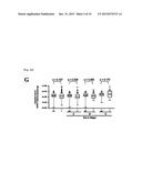 ANALYTICAL METHOD FOR INCREASING SUSCEPTIBILITY OF MOLECULAR TARGETED     THERAPY IN HEPATOCELLULAR CARCINOMA diagram and image