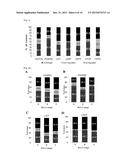 ANALYTICAL METHOD FOR INCREASING SUSCEPTIBILITY OF MOLECULAR TARGETED     THERAPY IN HEPATOCELLULAR CARCINOMA diagram and image