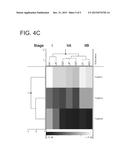 METHODS AND MEANS FOR DETERMINING AND CONFERRING STRESS TOLERANCE IN     PLANTS diagram and image