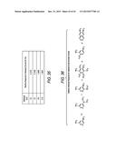 FLUORESCENCE DETECTION ASSEMBLY diagram and image