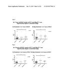 Methods and Compositions for Assessing Lung Grafts diagram and image