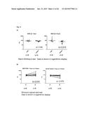 Methods and Compositions for Assessing Lung Grafts diagram and image