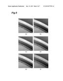 ELECTRIC FIELD CONCENTRATION LOCATION OBSERVATION DEVICE AND ELECTRIC     FIELD CONCENTRATION LOCATION OBSERVATION METHOD diagram and image