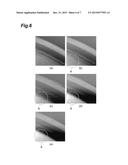 ELECTRIC FIELD CONCENTRATION LOCATION OBSERVATION DEVICE AND ELECTRIC     FIELD CONCENTRATION LOCATION OBSERVATION METHOD diagram and image