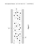 ELECTROPHORETIC DISPLAY DEVICE diagram and image