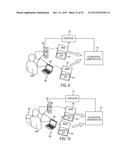 Authentication Method using Liveness Verification diagram and image