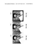 LENS DISTORTION CORRECTION USING A NEUROSYNAPTIC SYSTEM diagram and image