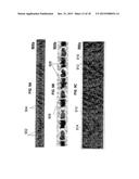 METHOD AND APPARATUS FOR WRITING SERVO INFORMATION ON A RECORDING MEDIUM diagram and image