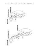 OPTICAL INFORMATION RECORDING MEDIUM diagram and image