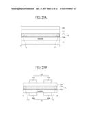 THIN FILM TRANSISTOR OF DISPLAY APPARATUS diagram and image