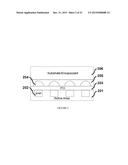 ADVANCED LIGHT EXTRACTION STRUCTURE diagram and image