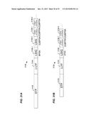 METHOD AND APPARATUS FOR GENERATING A PHY DATA UNIT diagram and image