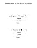 PATH PROTECTION FOR RING-BASED MULTI-PROTOCOL LABEL SWITCHED PATHS diagram and image