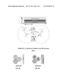 METHOD AND SYSTEM FOR DYNAMIC ALLOCATION OF RESOURCES IN A CELLULAR     NETWORK diagram and image