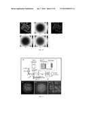 SYSTEMS AND METHODS FOR SUB-APERTURE BASED ABERRATION MEASUREMENT AND     CORRECTION IN INTERFEROMETRIC IMAGING diagram and image