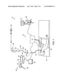 METHODS FOR MARKING BIOPSY LOCATION diagram and image