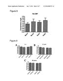 PRODUCT COMPRISING RED CLOVER EXTRACT AND METHODS FOR PRODUCING THE SAME diagram and image