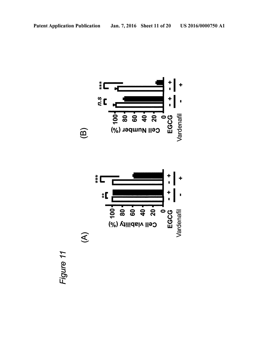 COMBINATION OF EGCG OR METHYLATED EGCG AND A PDE INHIBITOR - diagram, schematic, and image 12